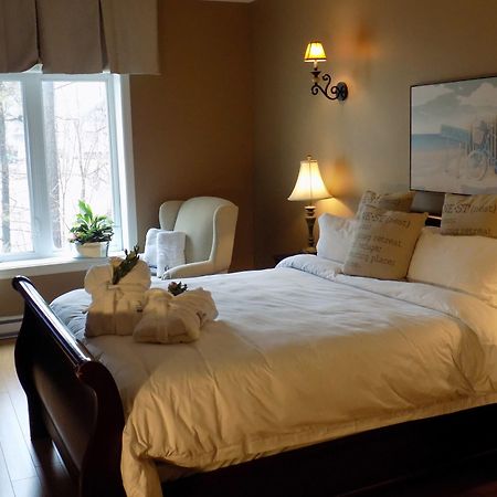 L'Oasis De L'Ile Hotel แซงต์-เอิสตาช ภายนอก รูปภาพ